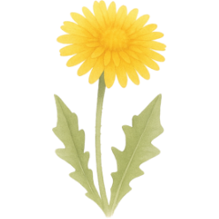 たんぽぽクラス